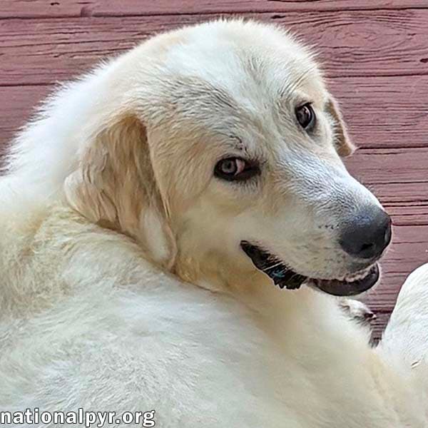 Luna in NJ - Gives Sweet Kisses!