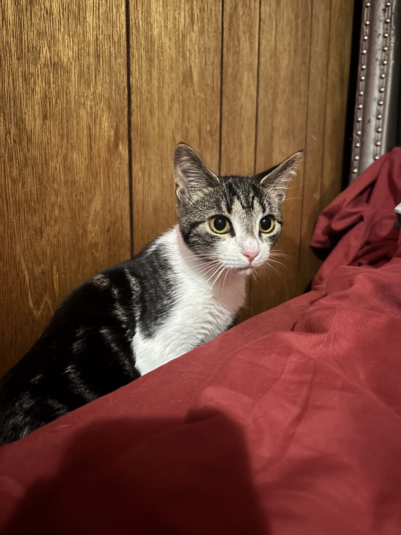 Luna
