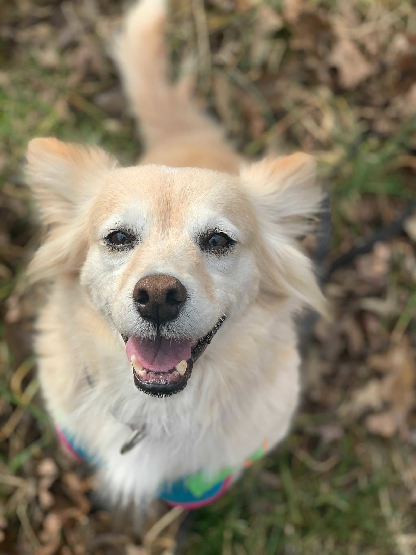 Sadie May 26
