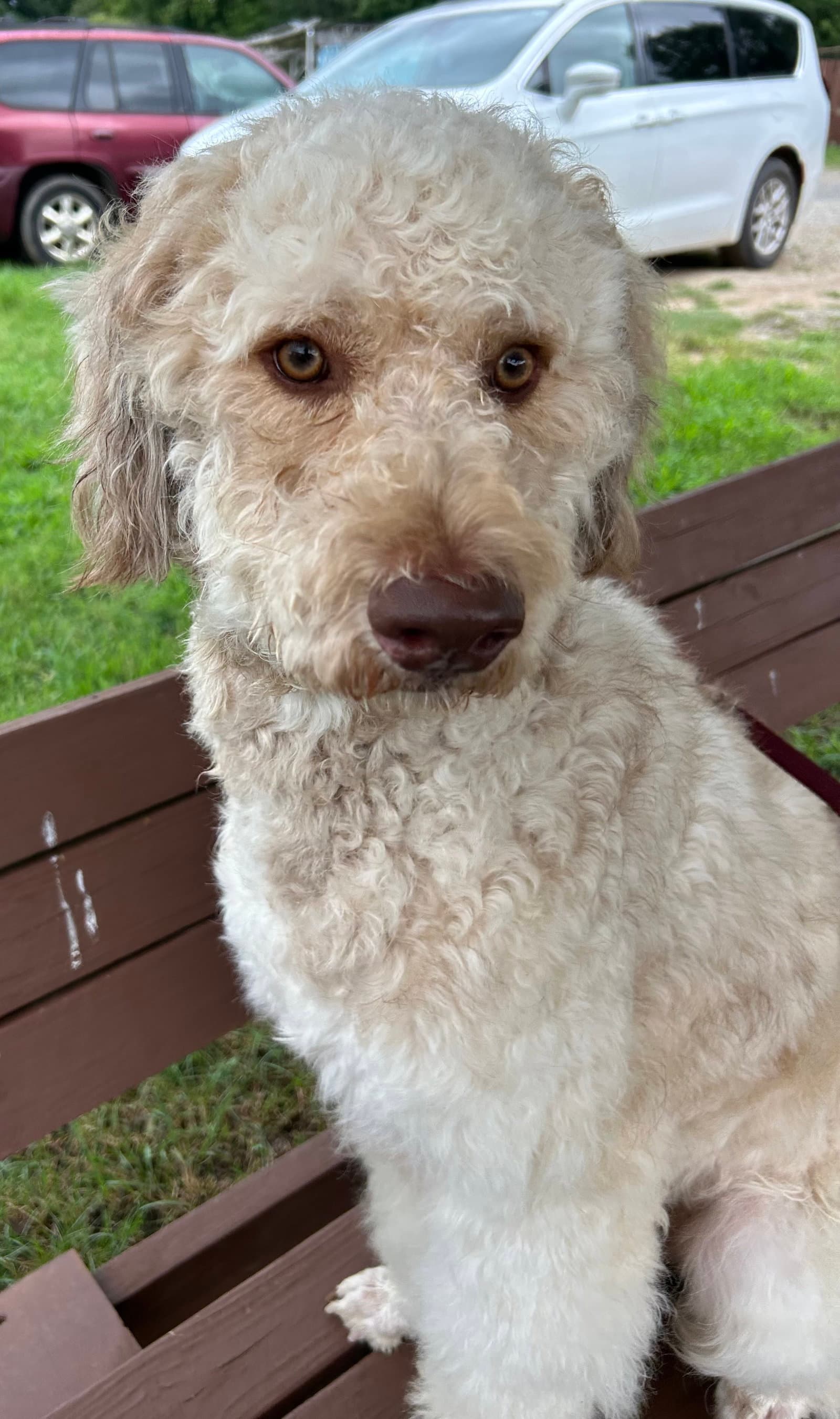 Snickers Jul 26