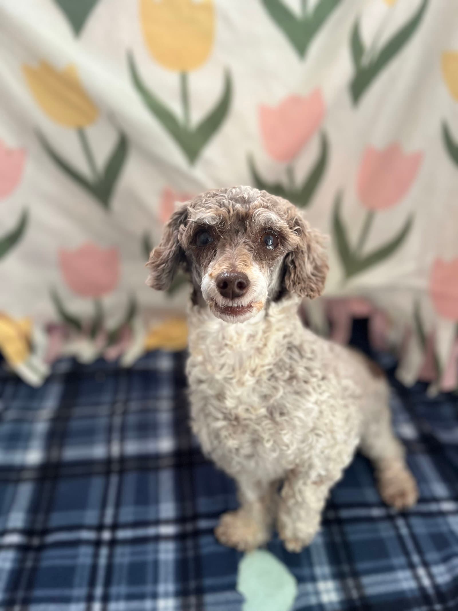 Clementine Jul 26