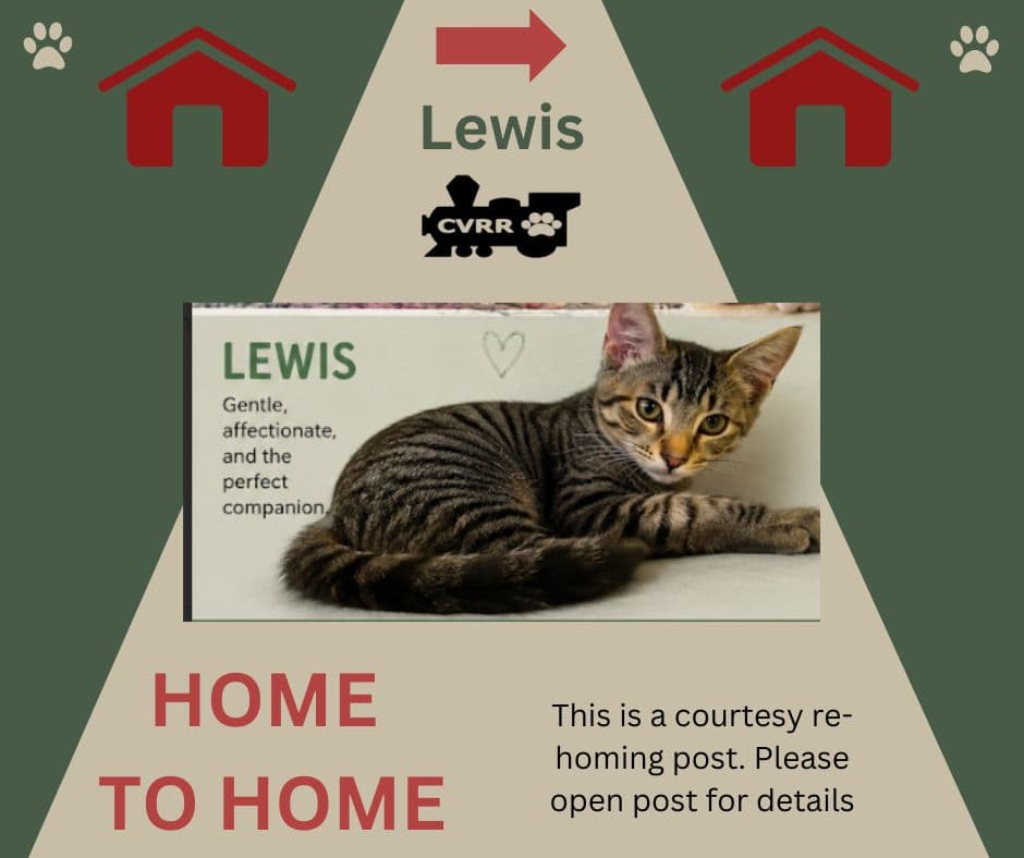 Lewis *Home 2 Home*