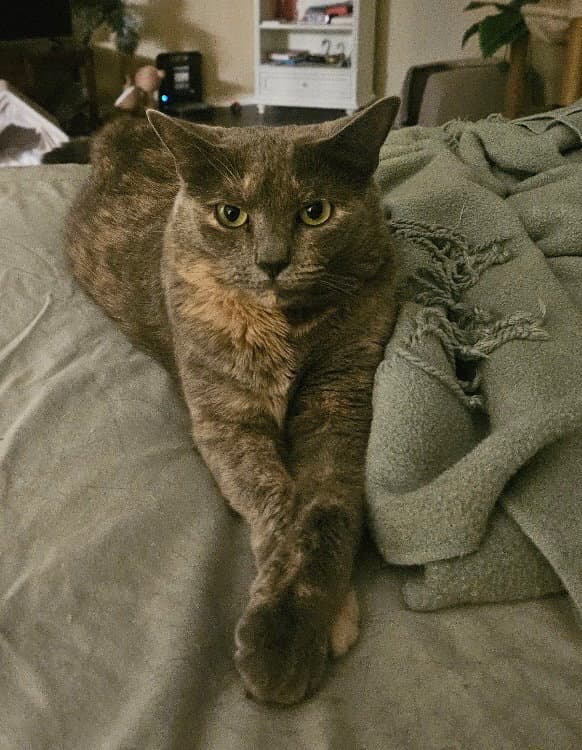 Lily