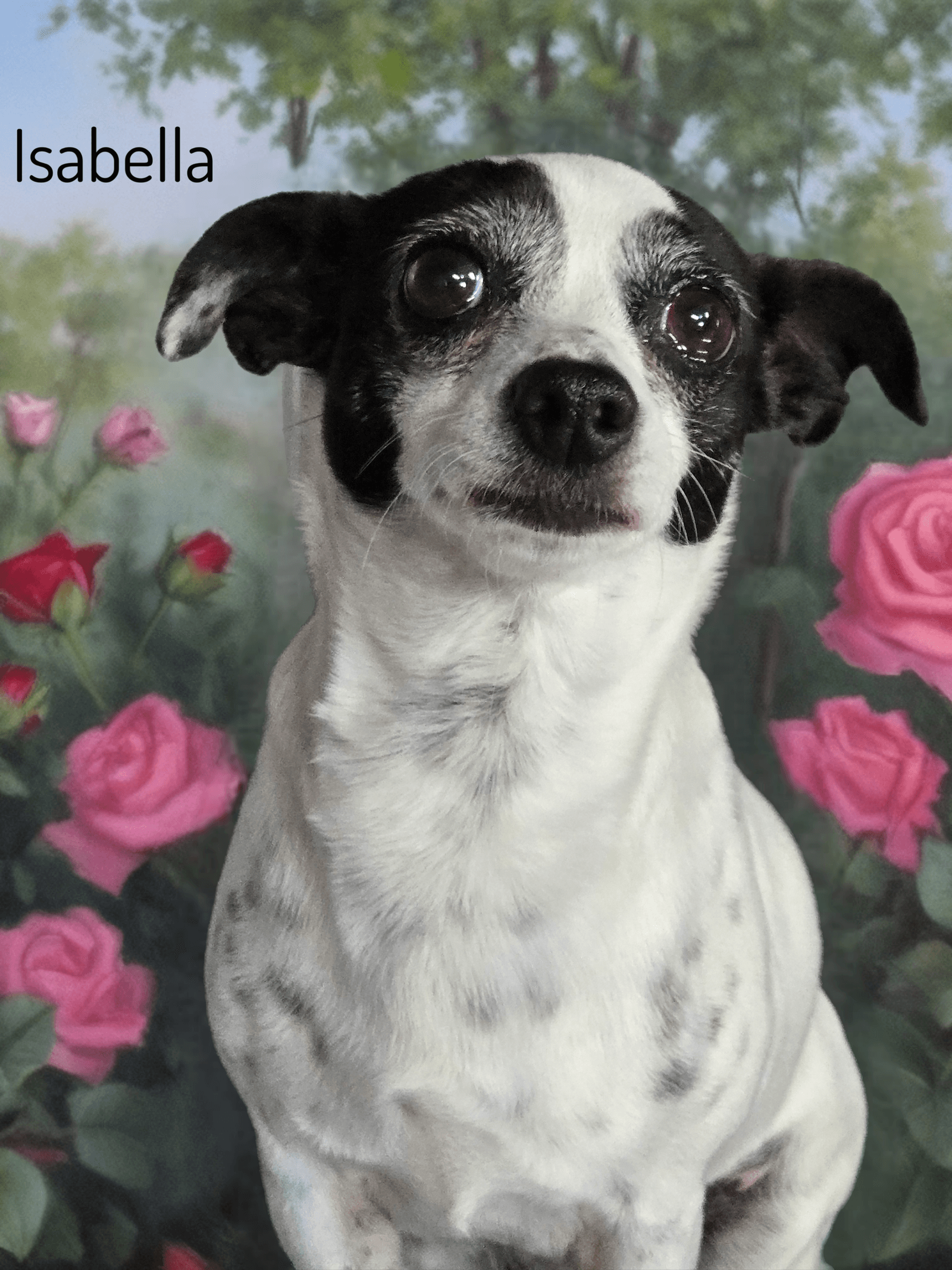 Isabella