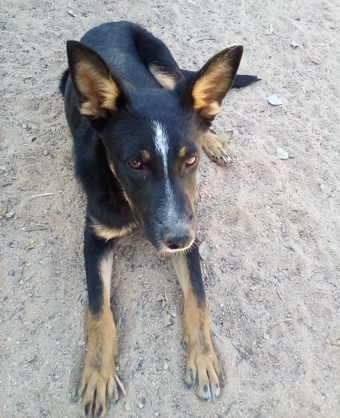 Wanda