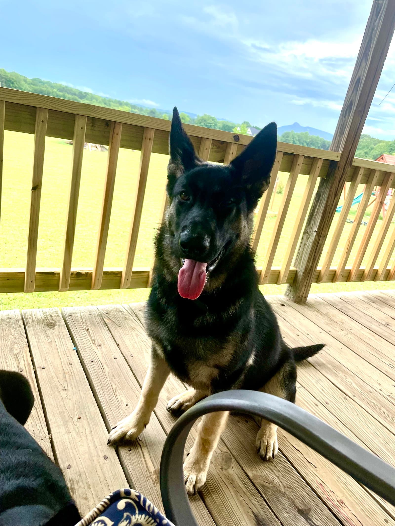 Zeke (CL)
