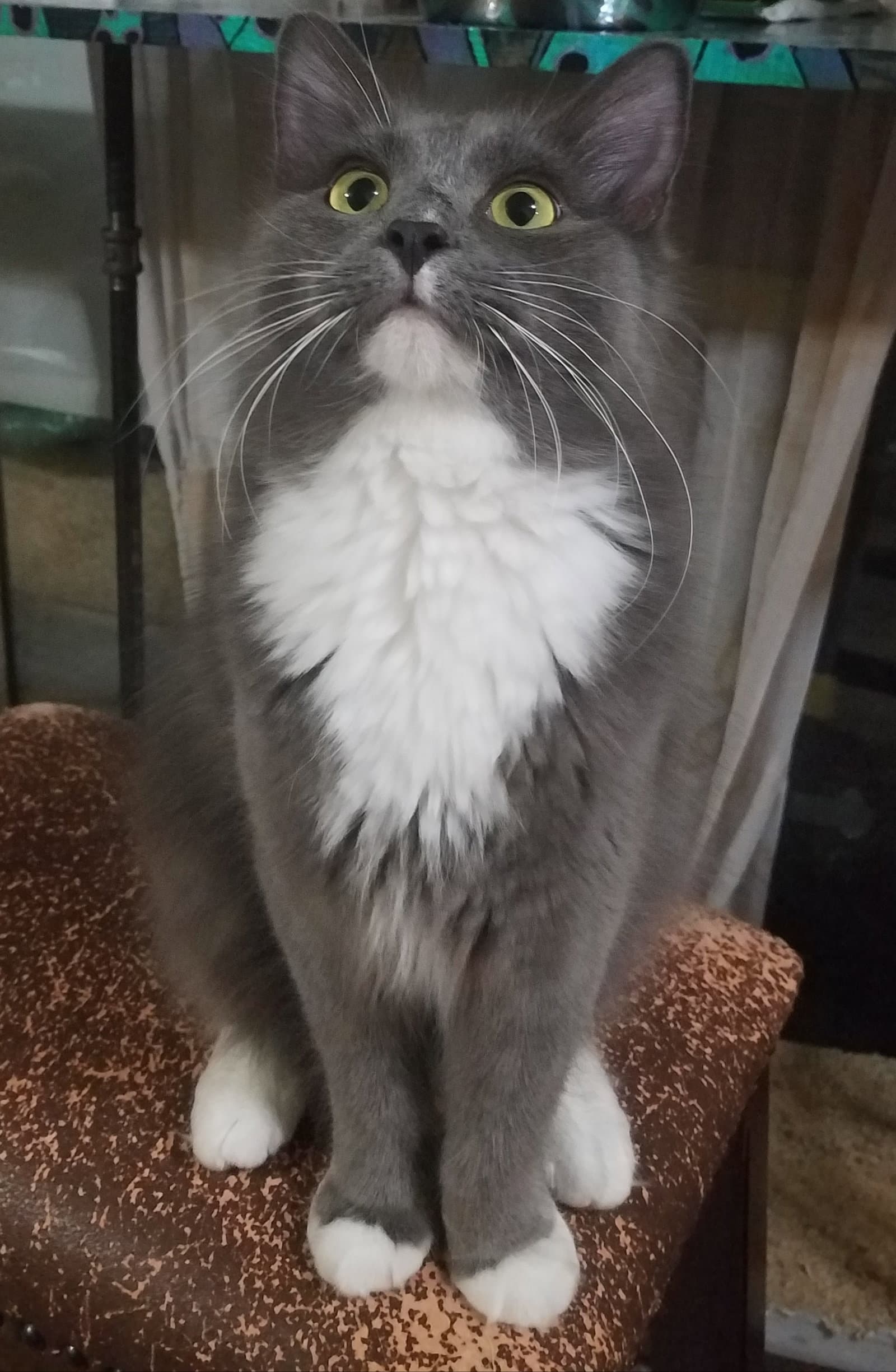 Sebastian
