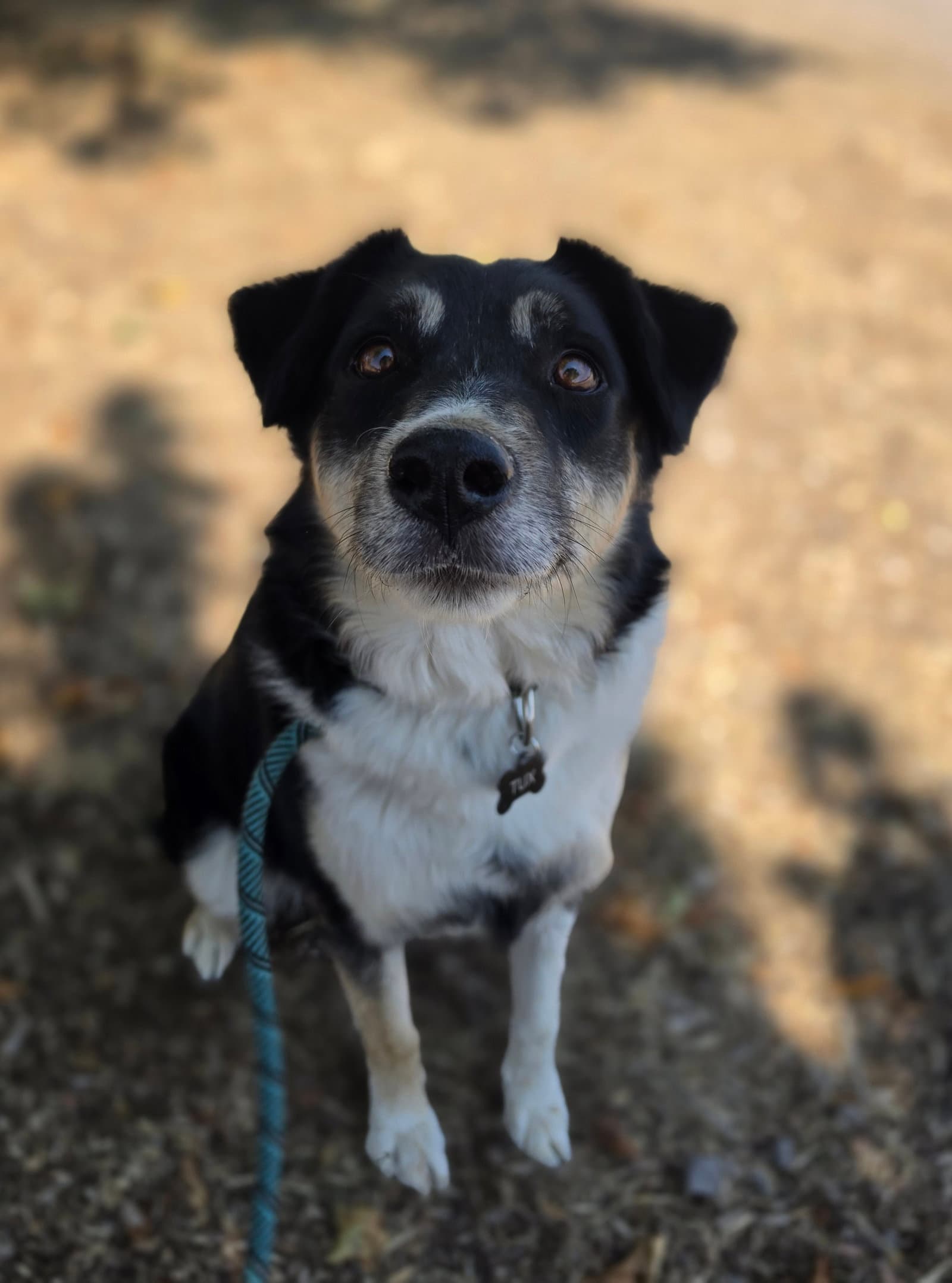 Tux