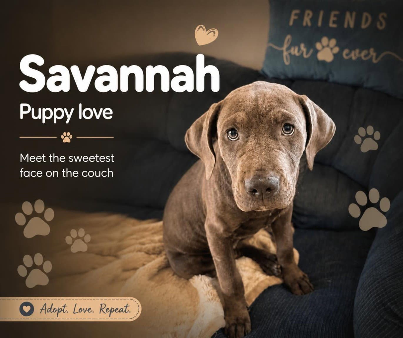 Savannah - I was adopted!