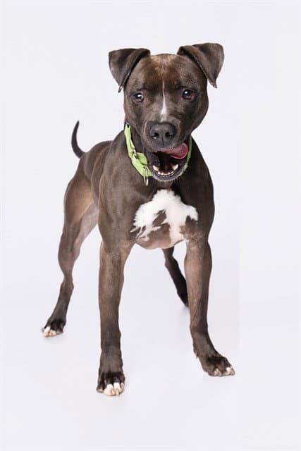Roscoe