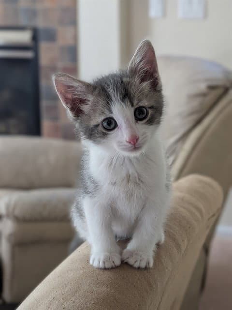 George