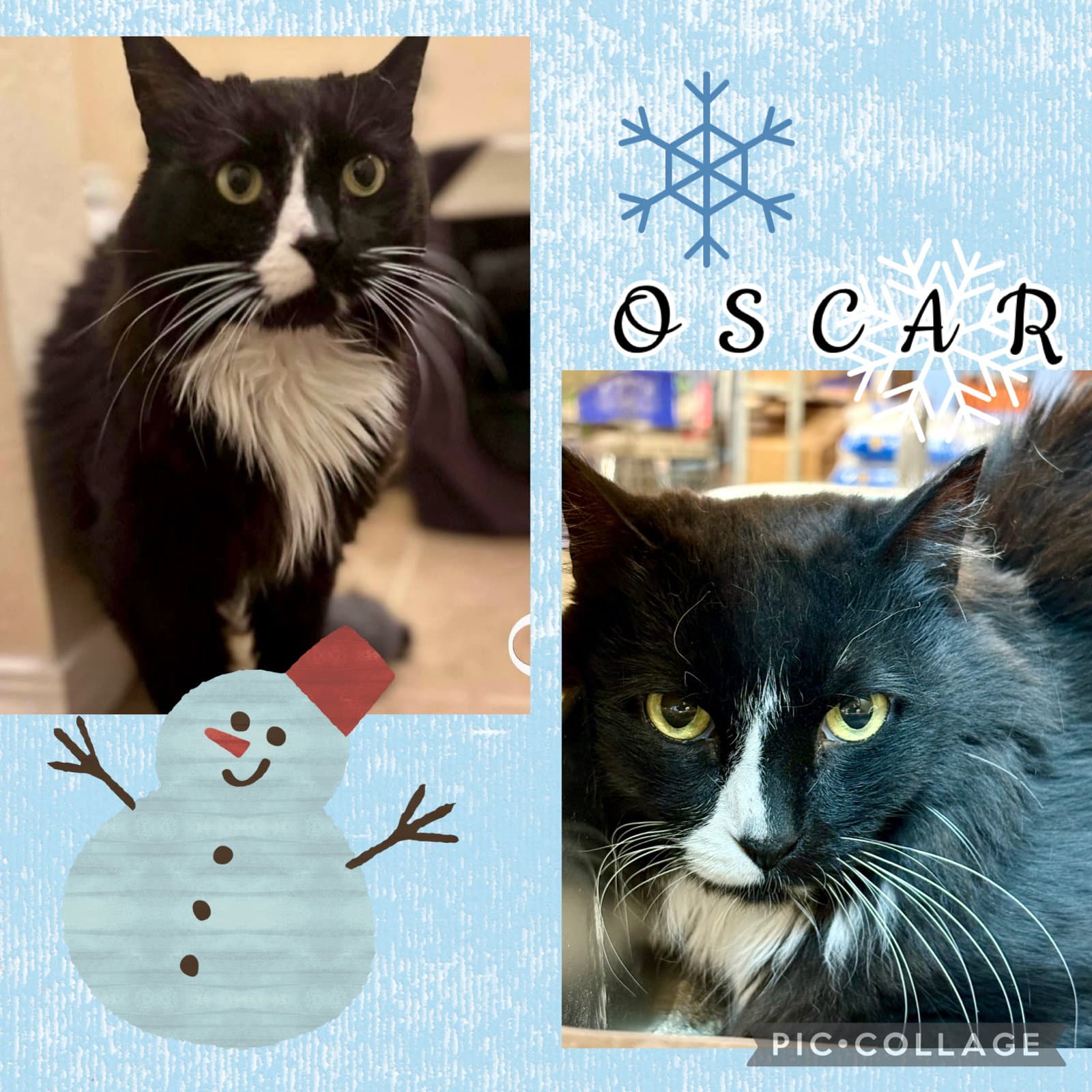 Oscar