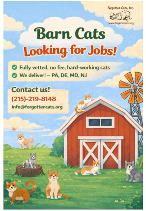 We Have Male and Female Barn Cats!