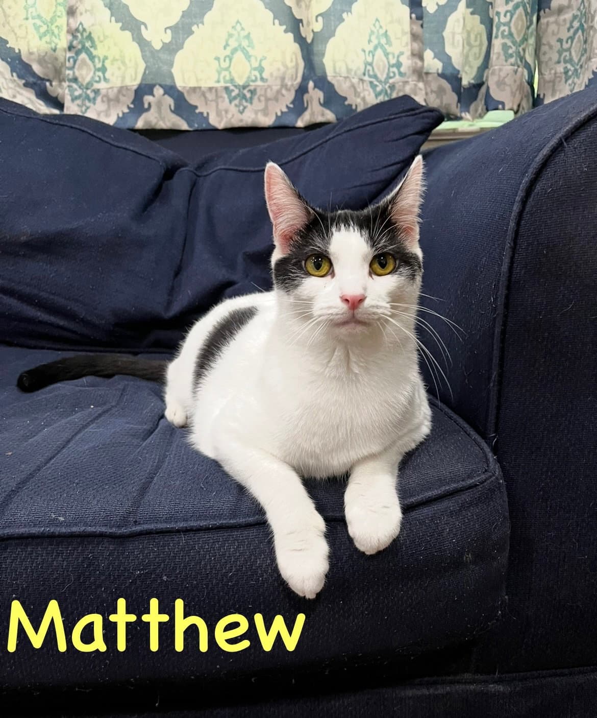 Matthew w/Mickey, Willow Grove (FCID 11/10/22-3)