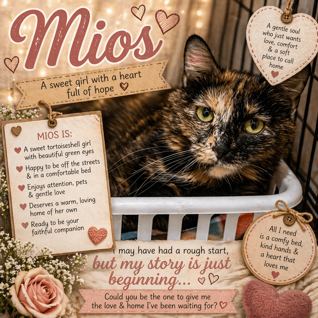 Mios w/daughter Lulu (FCID# 04/16/26-14 BPS) C