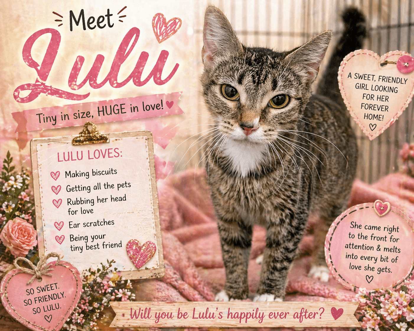 Lulu w/ mom Mios (FCID# 04/16/2026 - 17 BPS) C