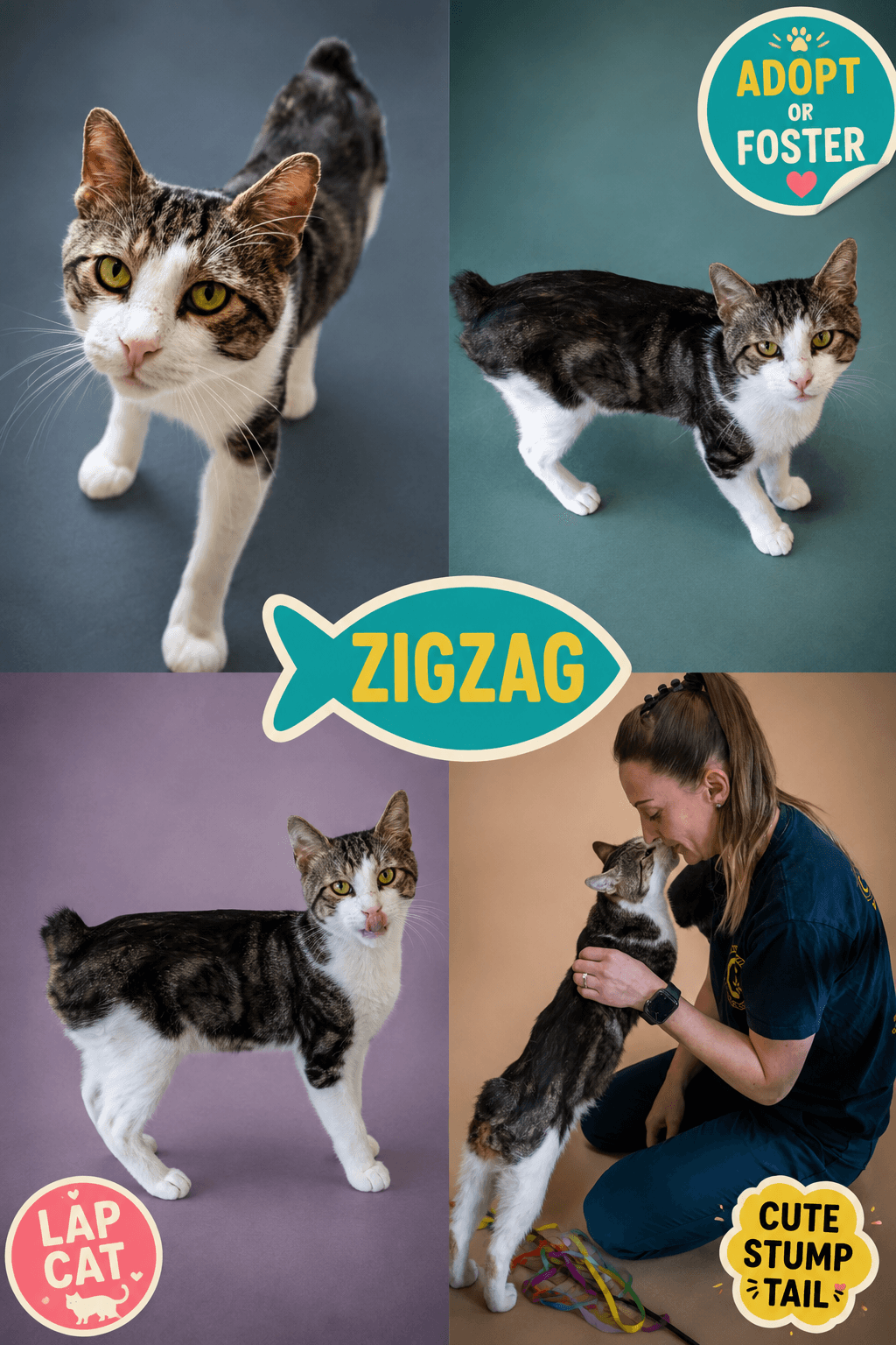 ZigZag (FCID# 07/06/2026 - 53 Brandywine PS)
