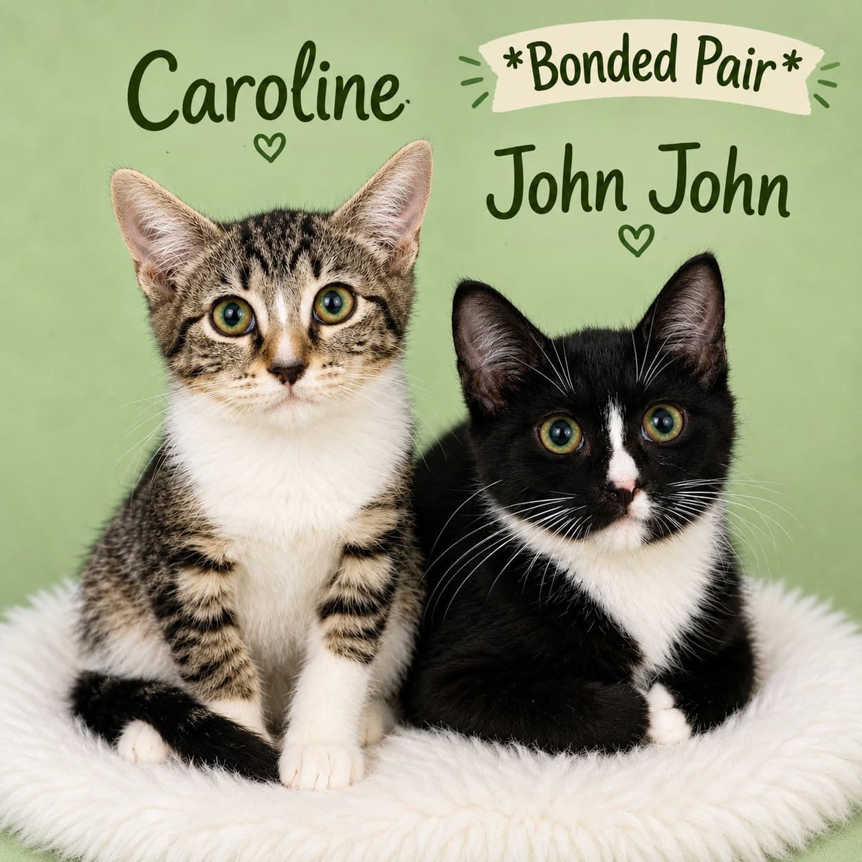 John John (FCID#7/10/2026-166)