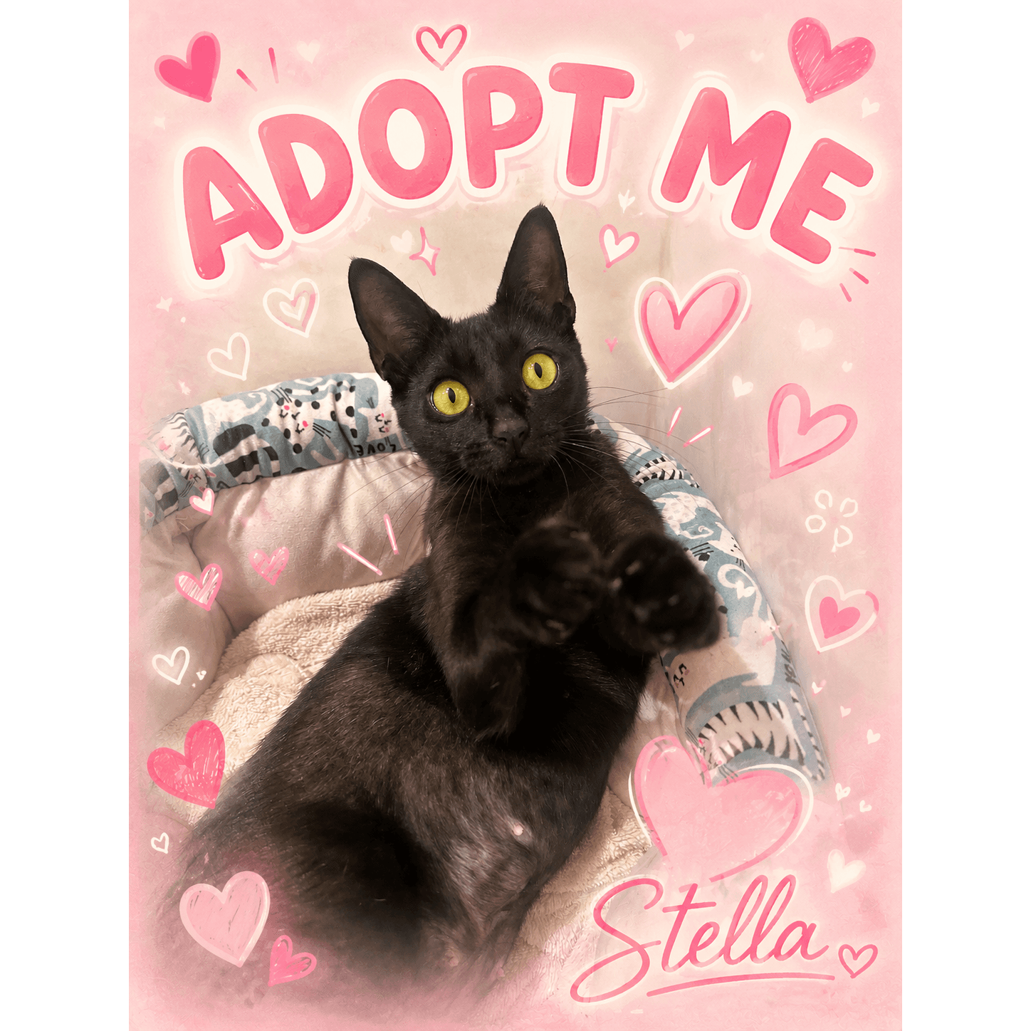 Stella