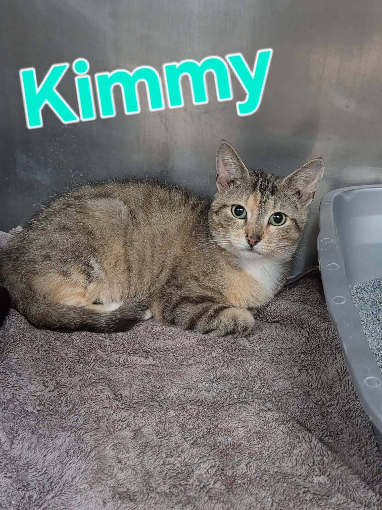 Kimmie
