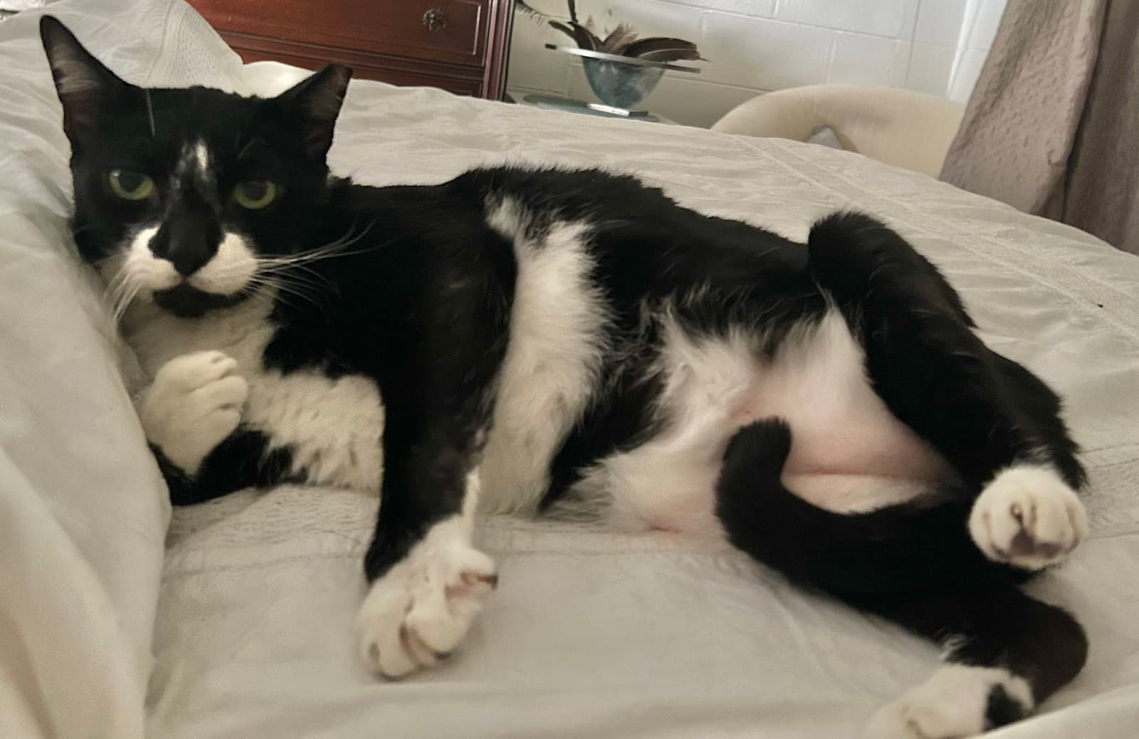 TuxeE