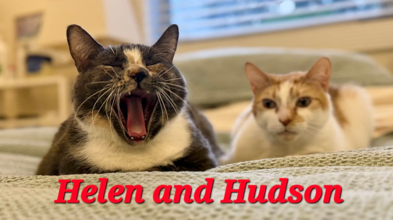 Hudson