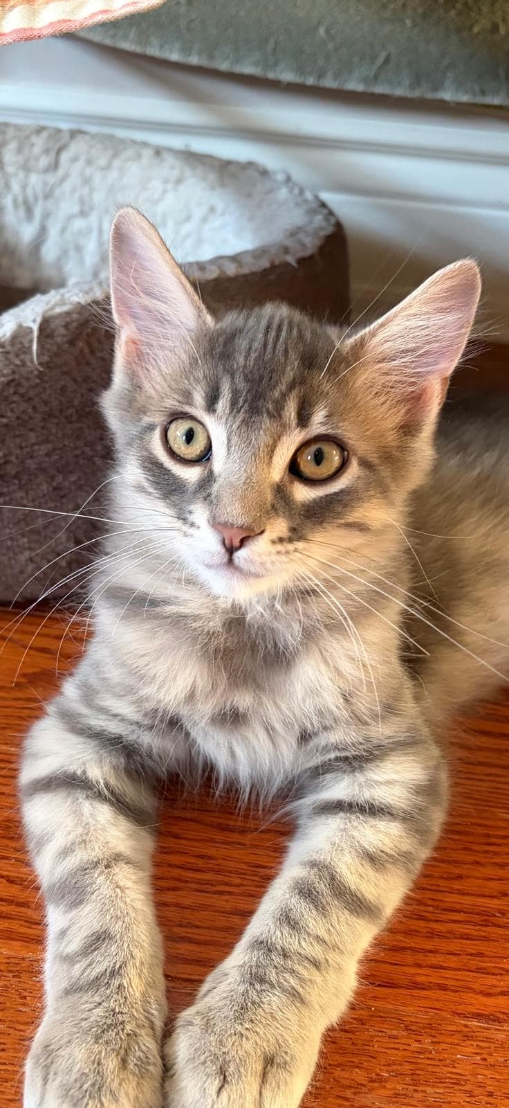Sebastien