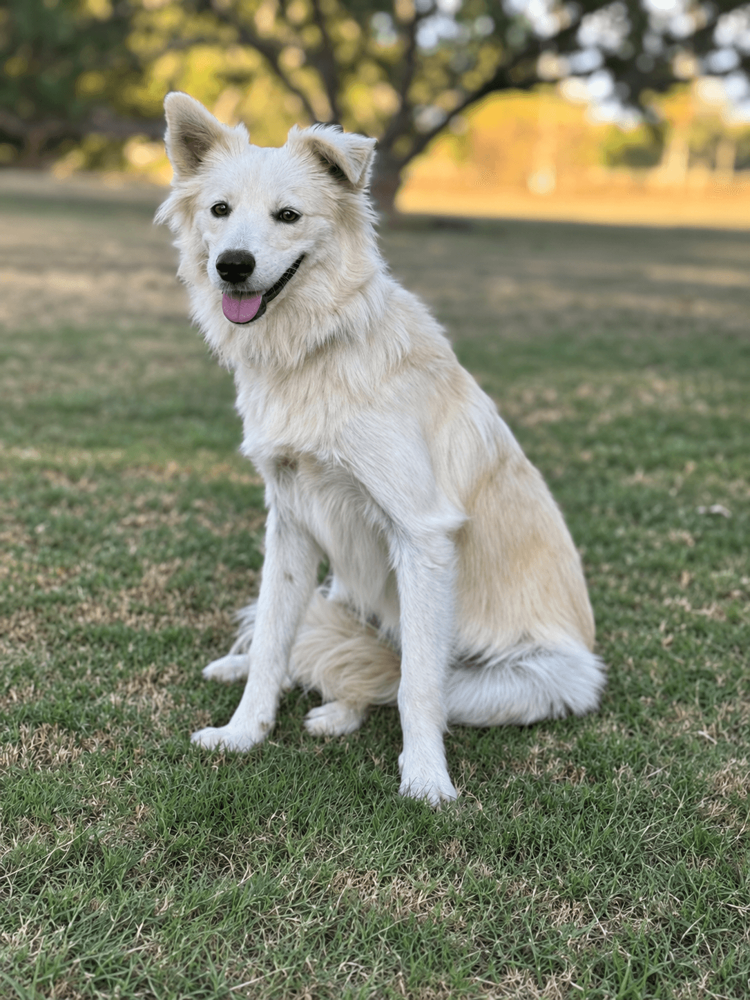 Skye