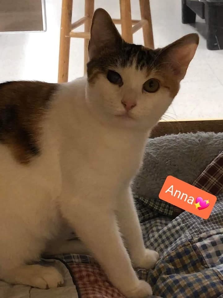 Anna