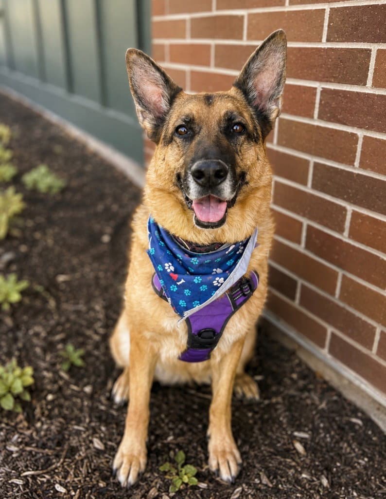 Gracie