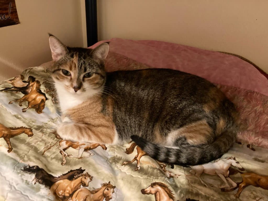 Matilda