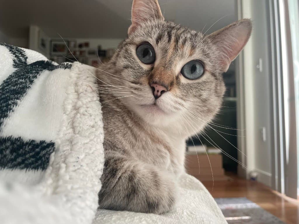 Betsy Ann