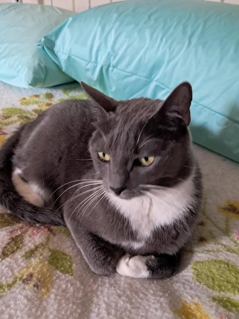 Ruby