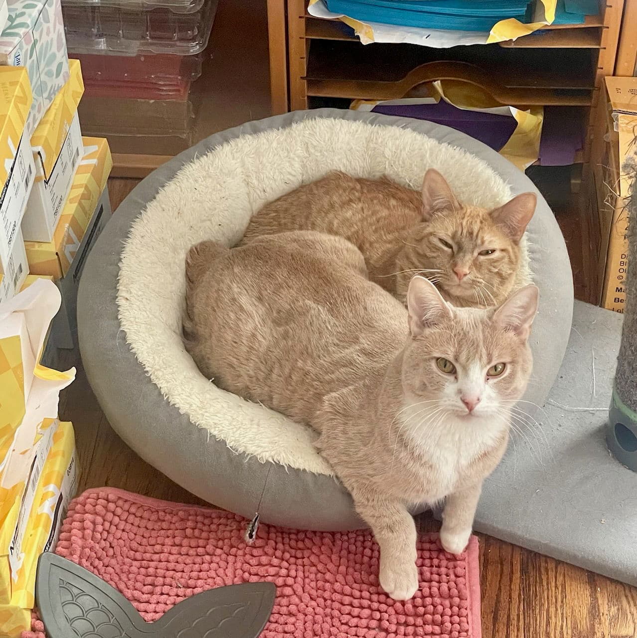 Kramer & George