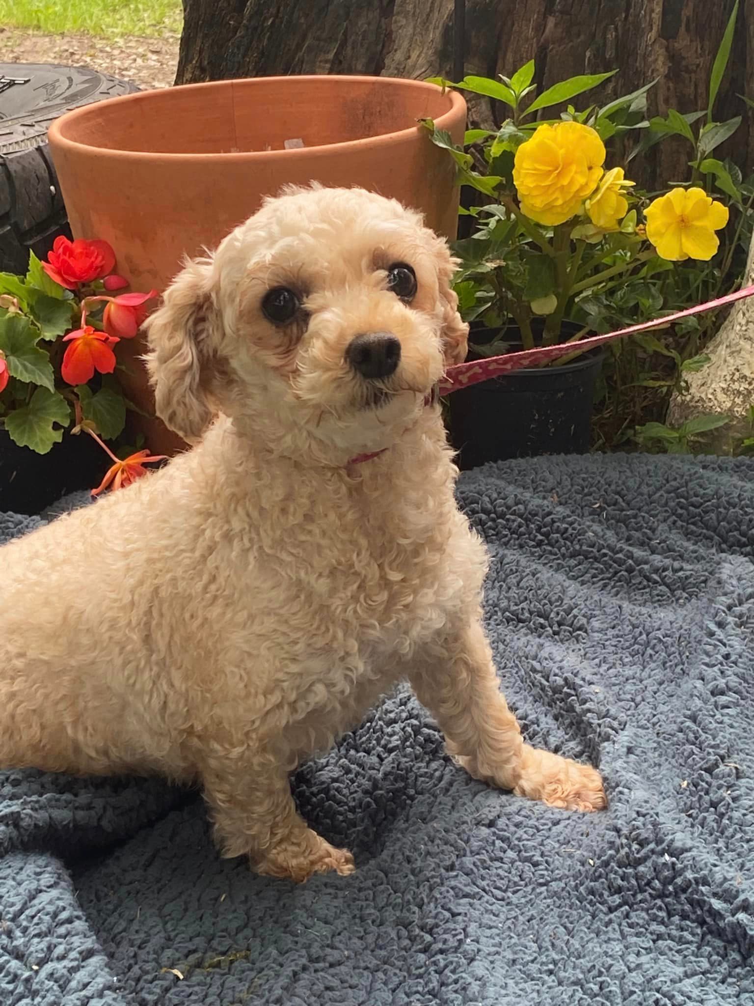 Kendra- Permanent Resident