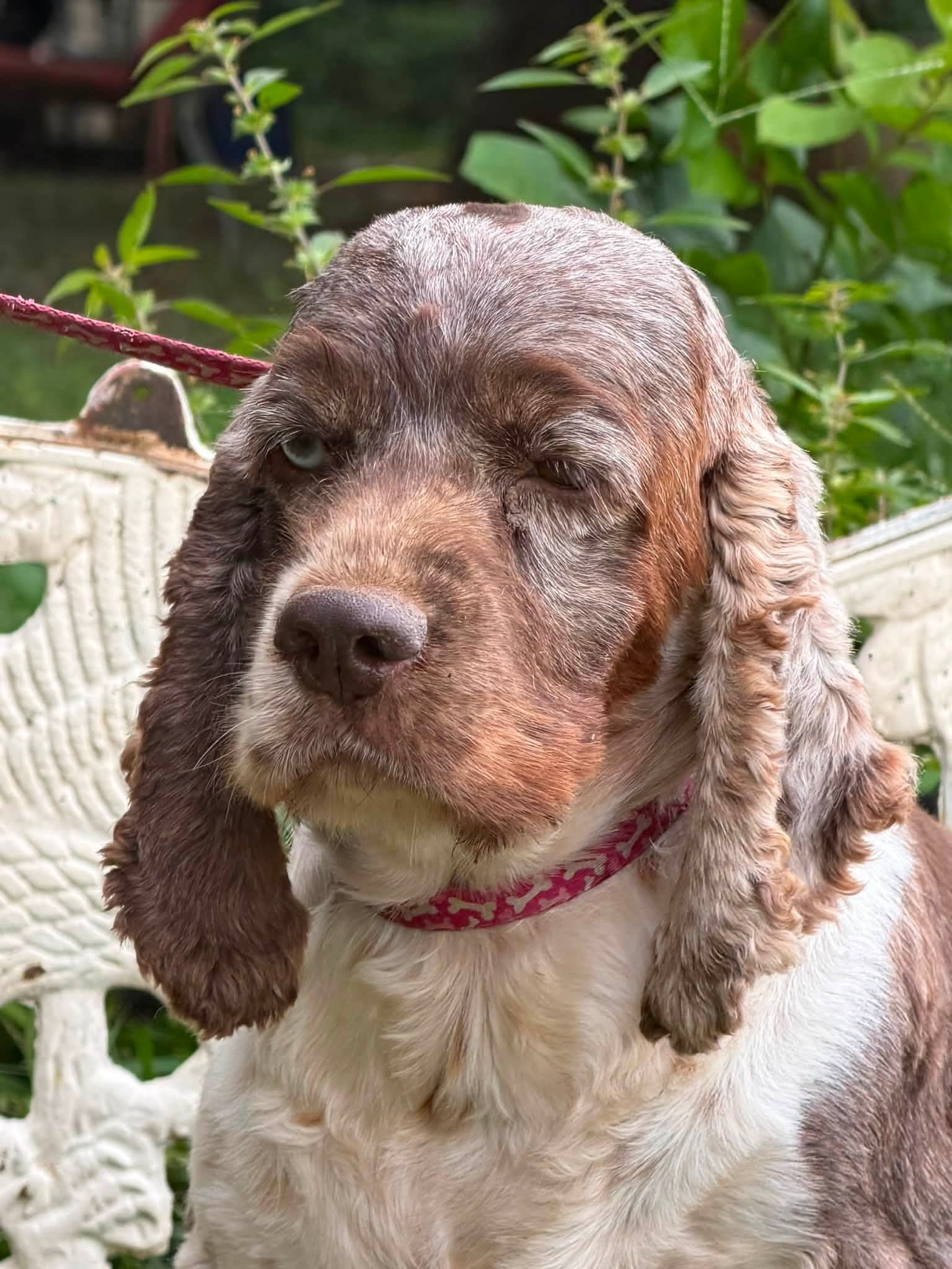 Margo