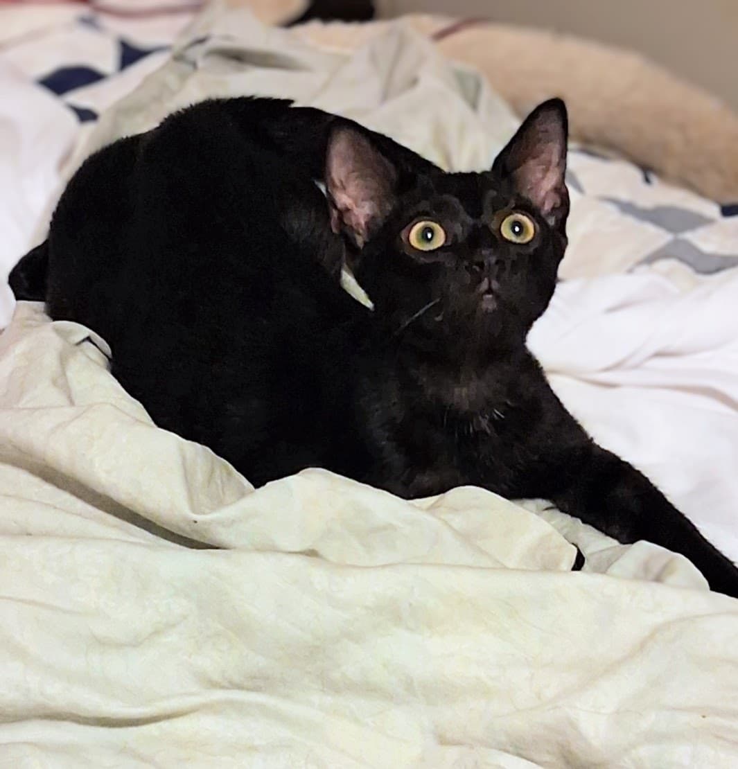 Cecil & Ernest