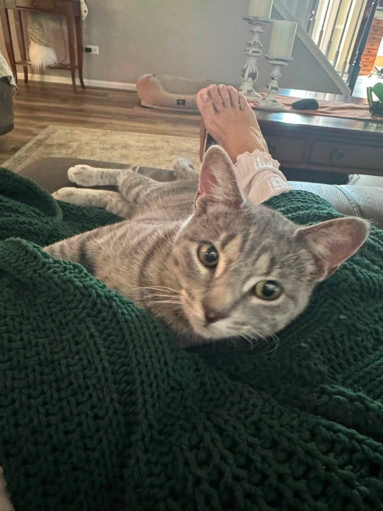 Lilly