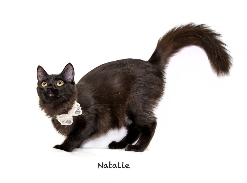 Natalie