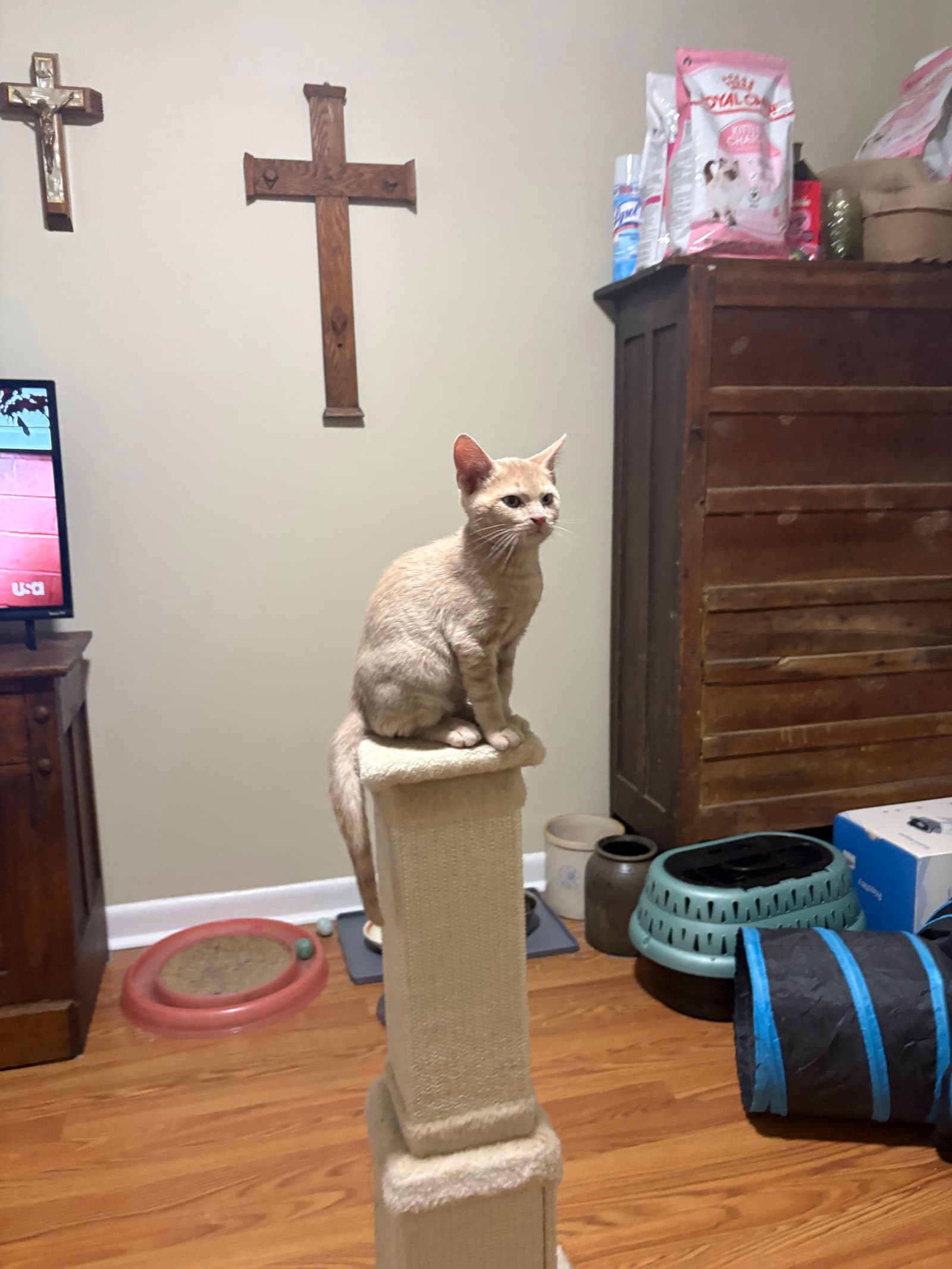 Claude
