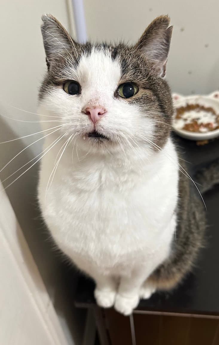 Dexter