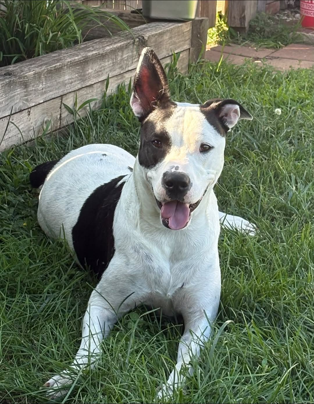 Radar - Ready for Fun!