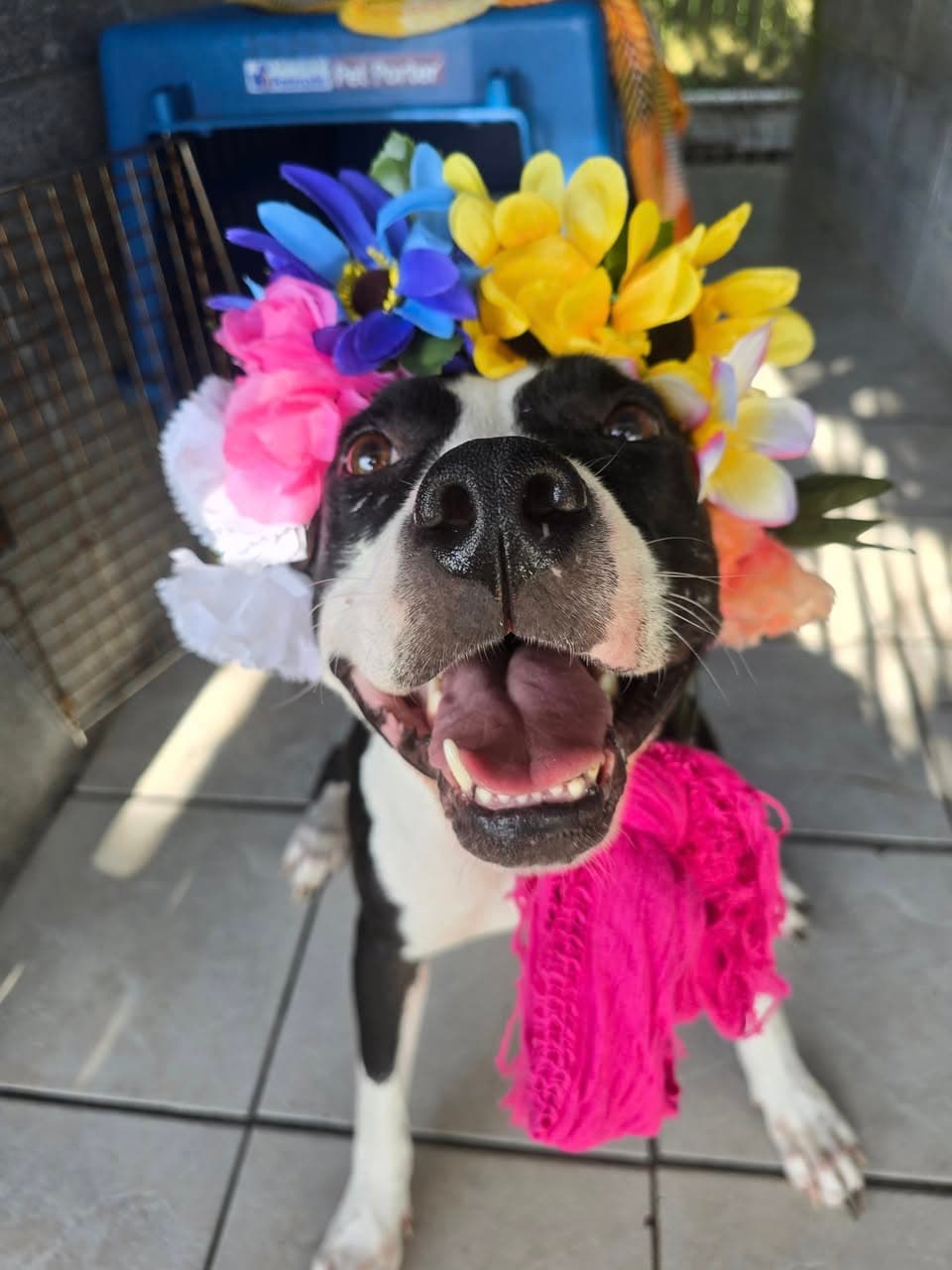 Grace - Confident and Quirky Girl
