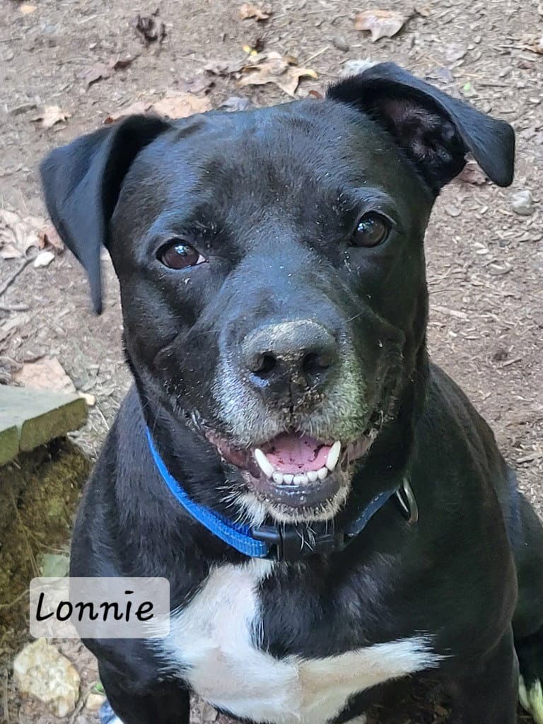 Lonnie