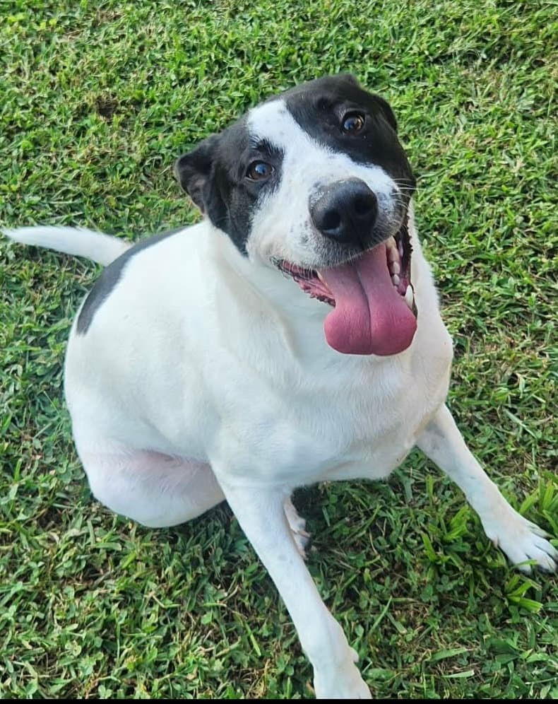 Maizy - Courtesy Listing