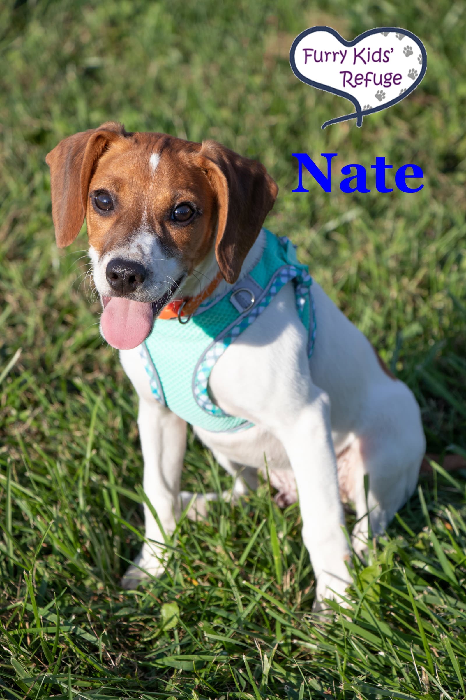 Nate