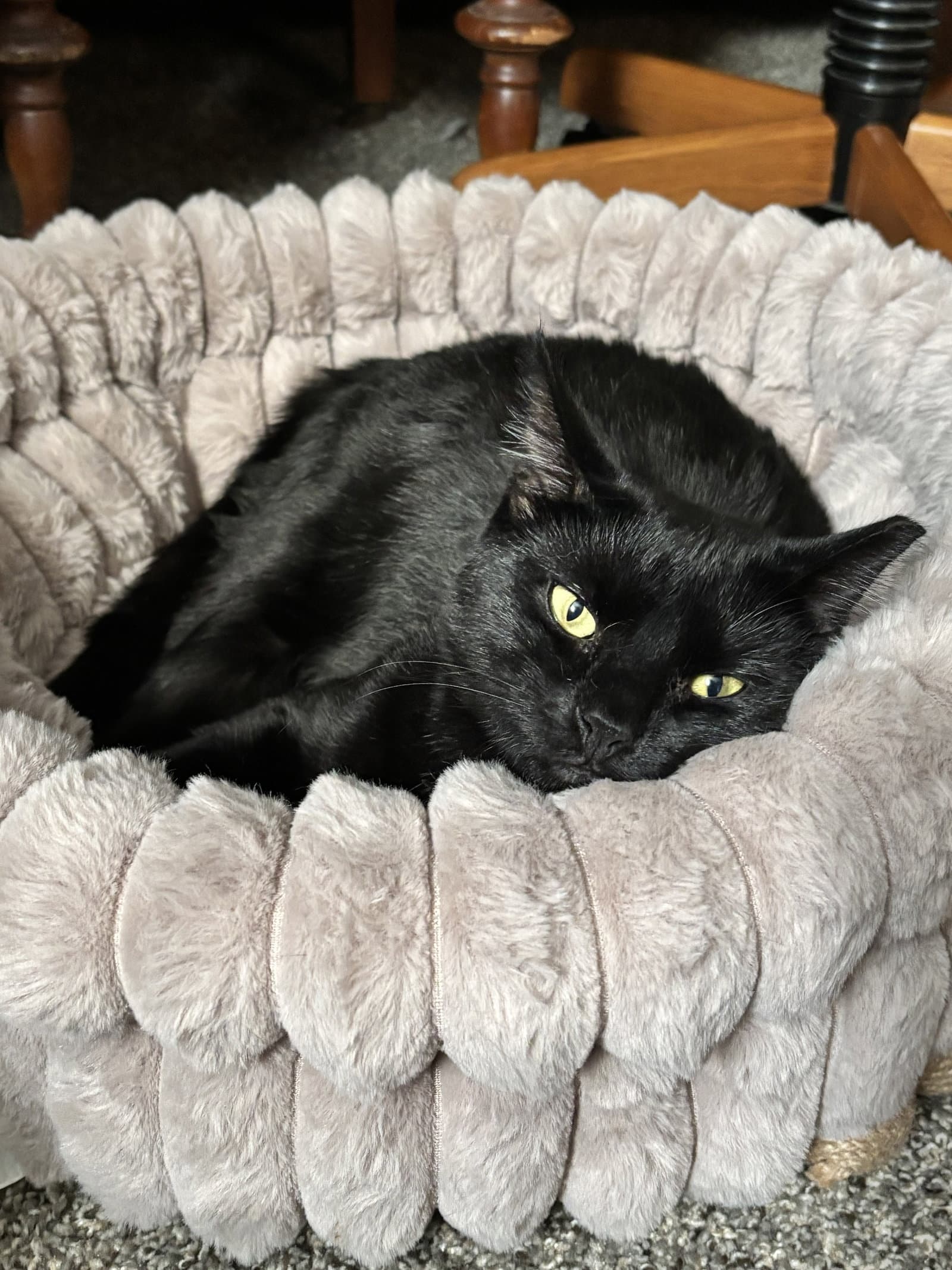 Davey A. Void
