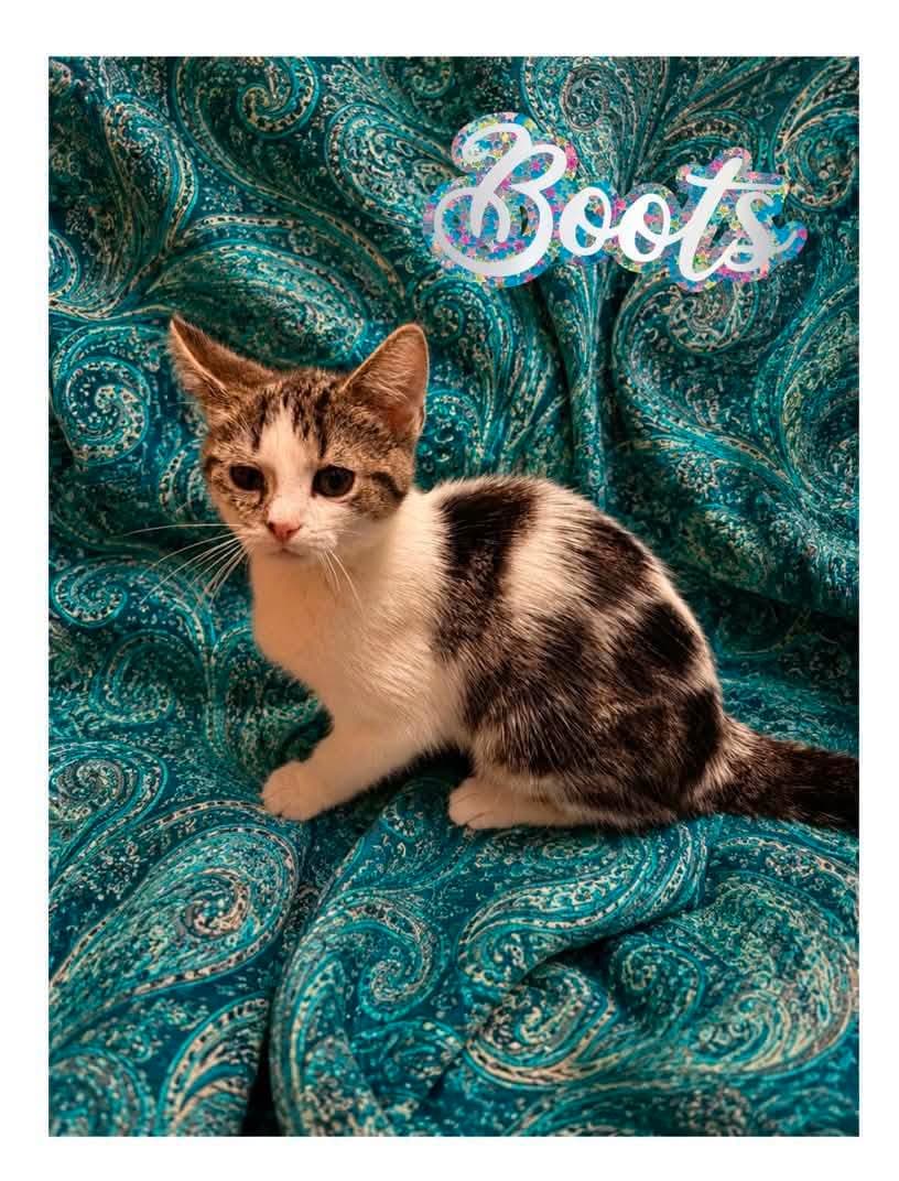 Boots and Jolene