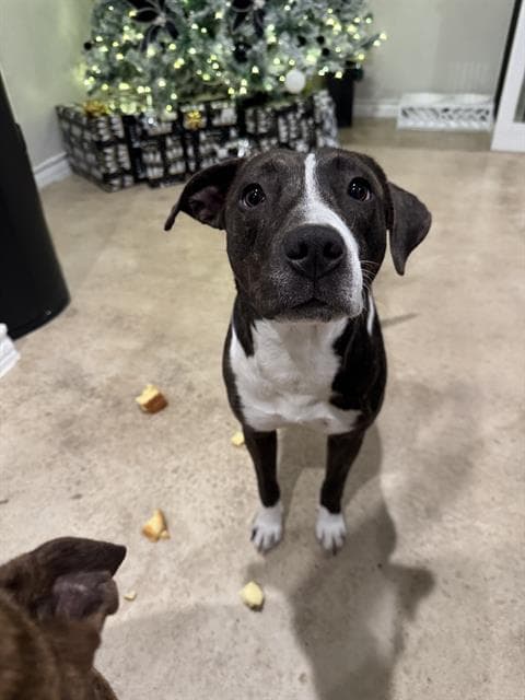 Luna