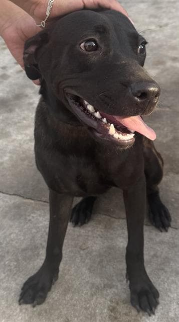 Coco